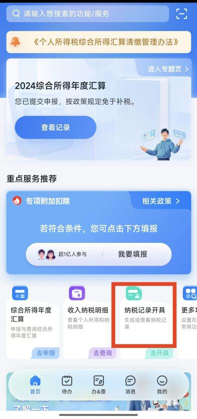 个税查询操作指引