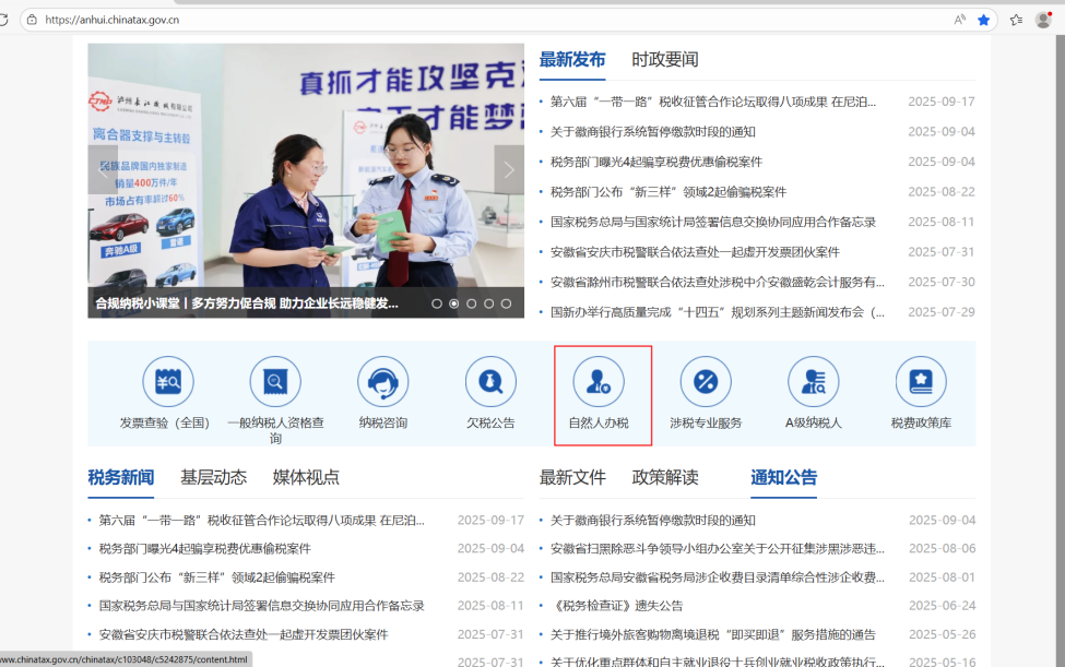 个税查询操作指引