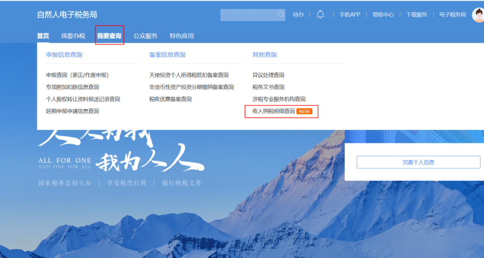 个税查询操作指引