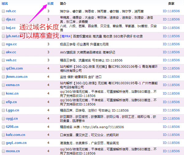 域名購買注意事項