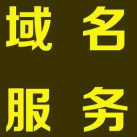 老杨新店_中文历史_老历史搜狗域名