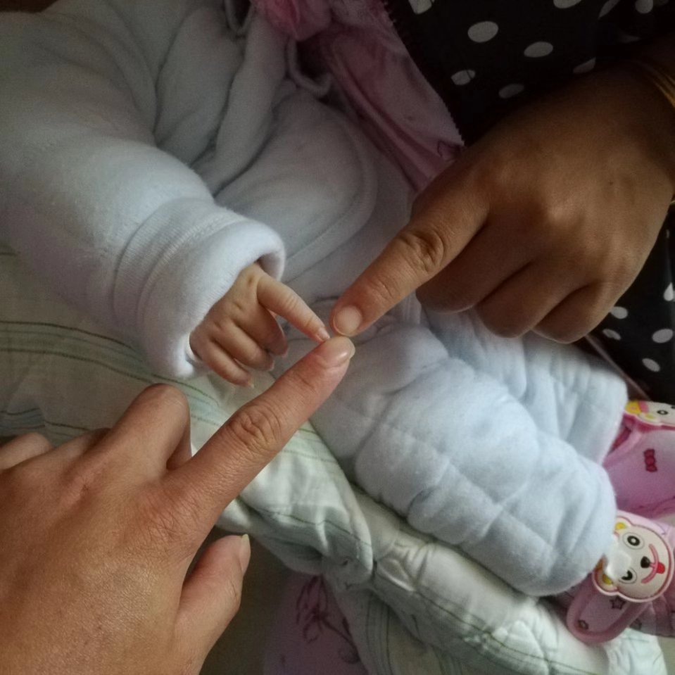 一米小杨